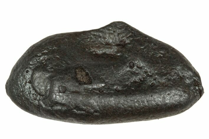 Fusion Crusted Sikhote-Alin Iron Meteorite ( g) - Russia #333110